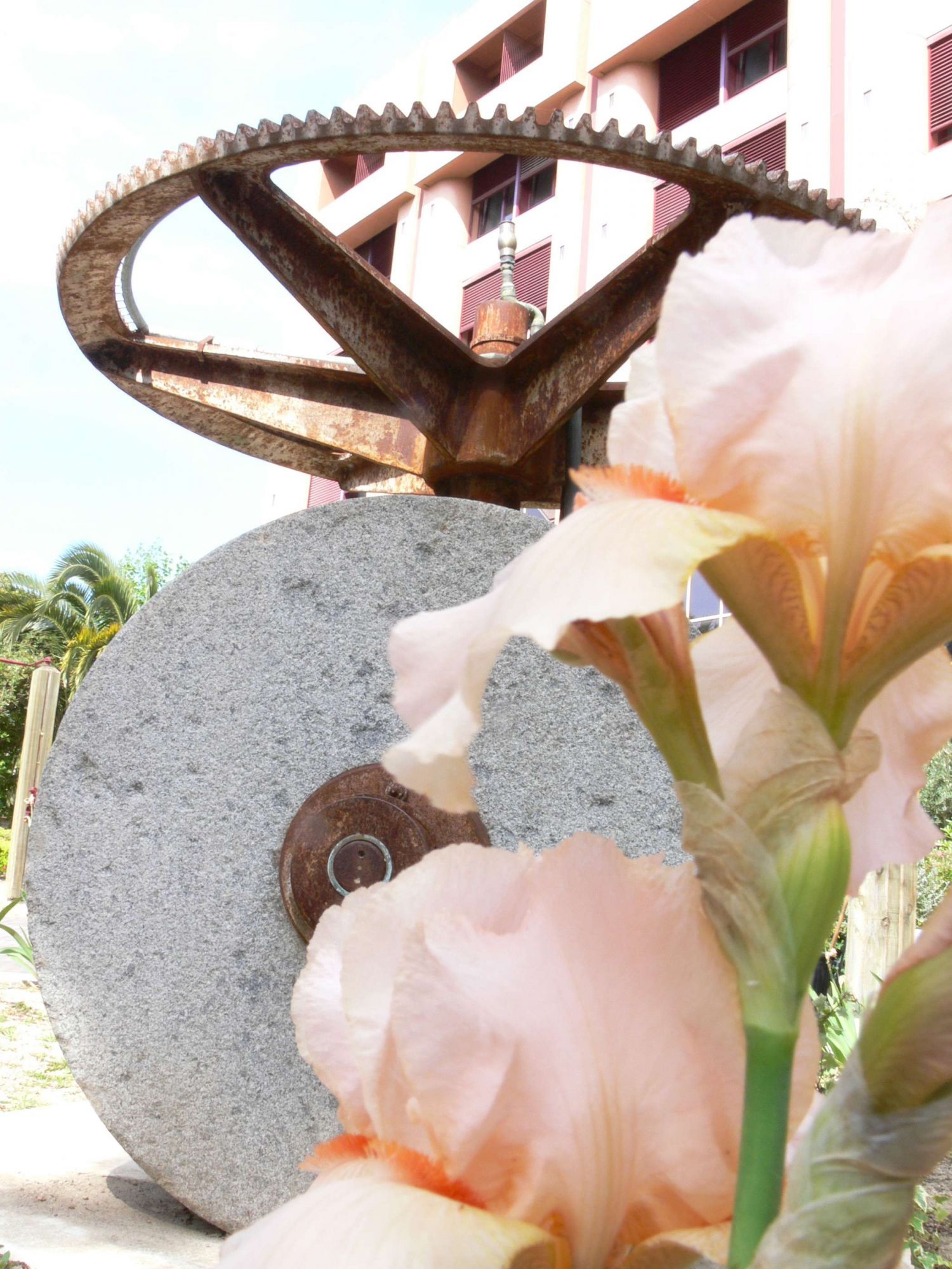 Les productions de la Commission