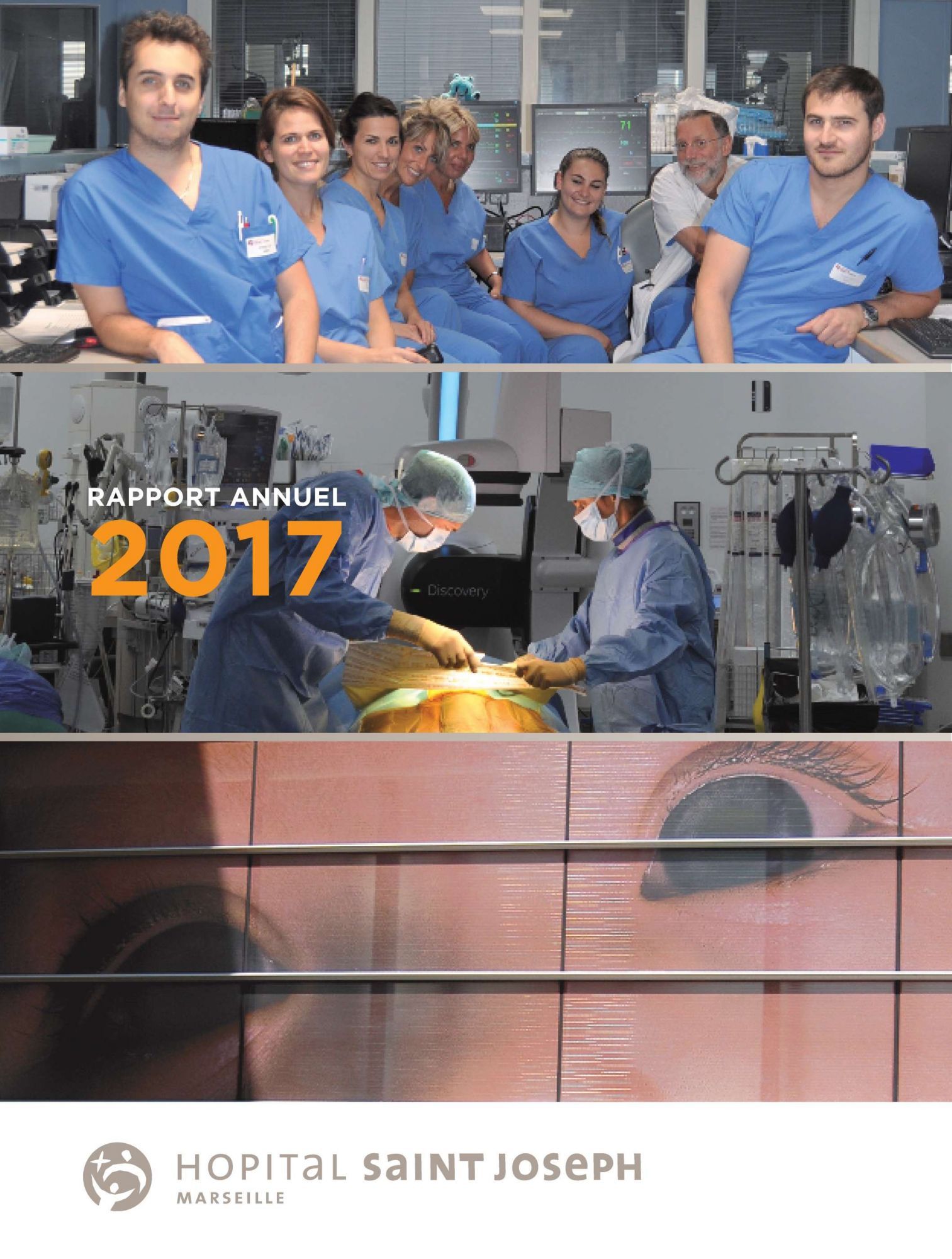 Le Rapport Annuel 2017