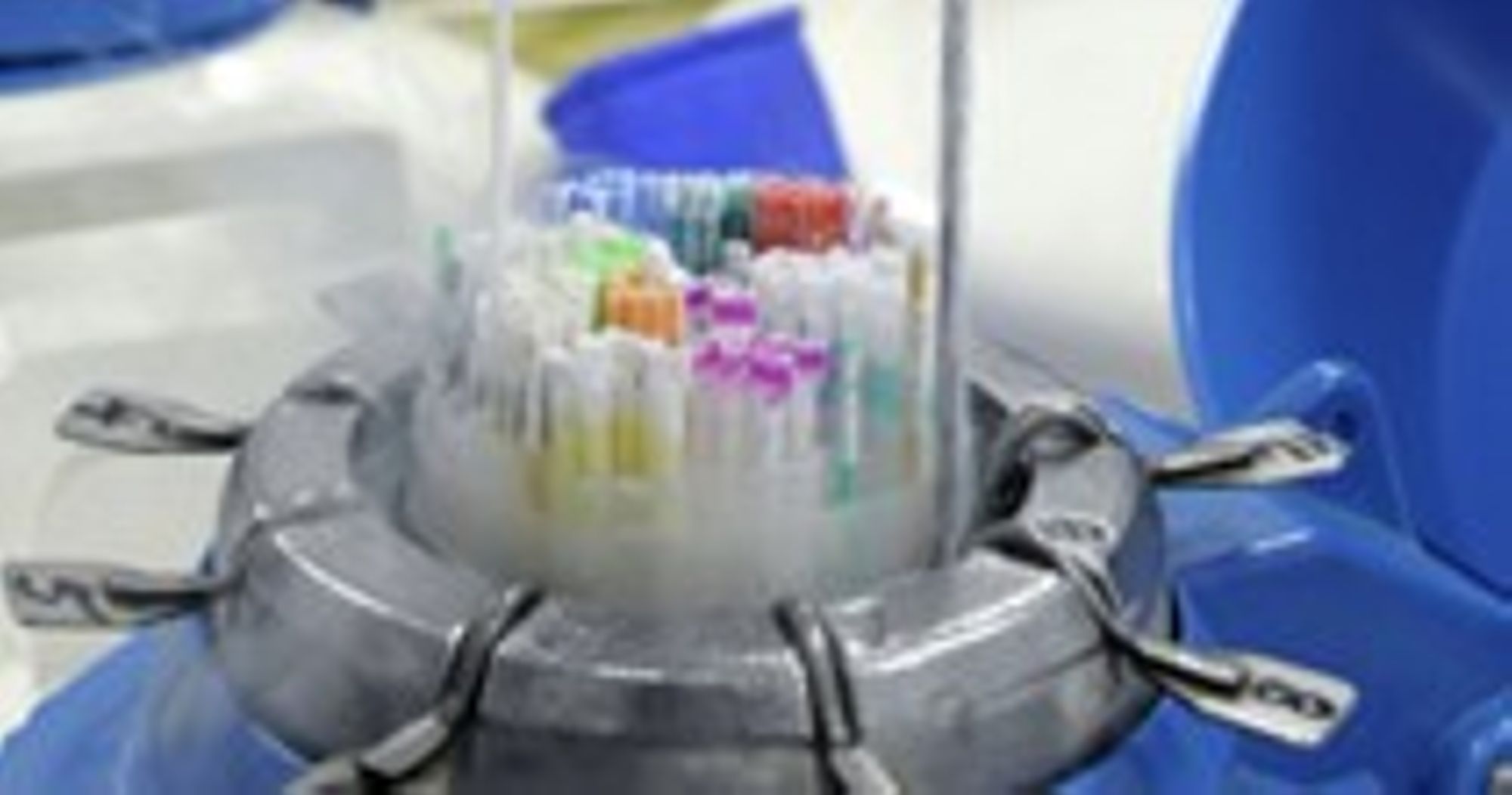 La vitrification ovocytaire 