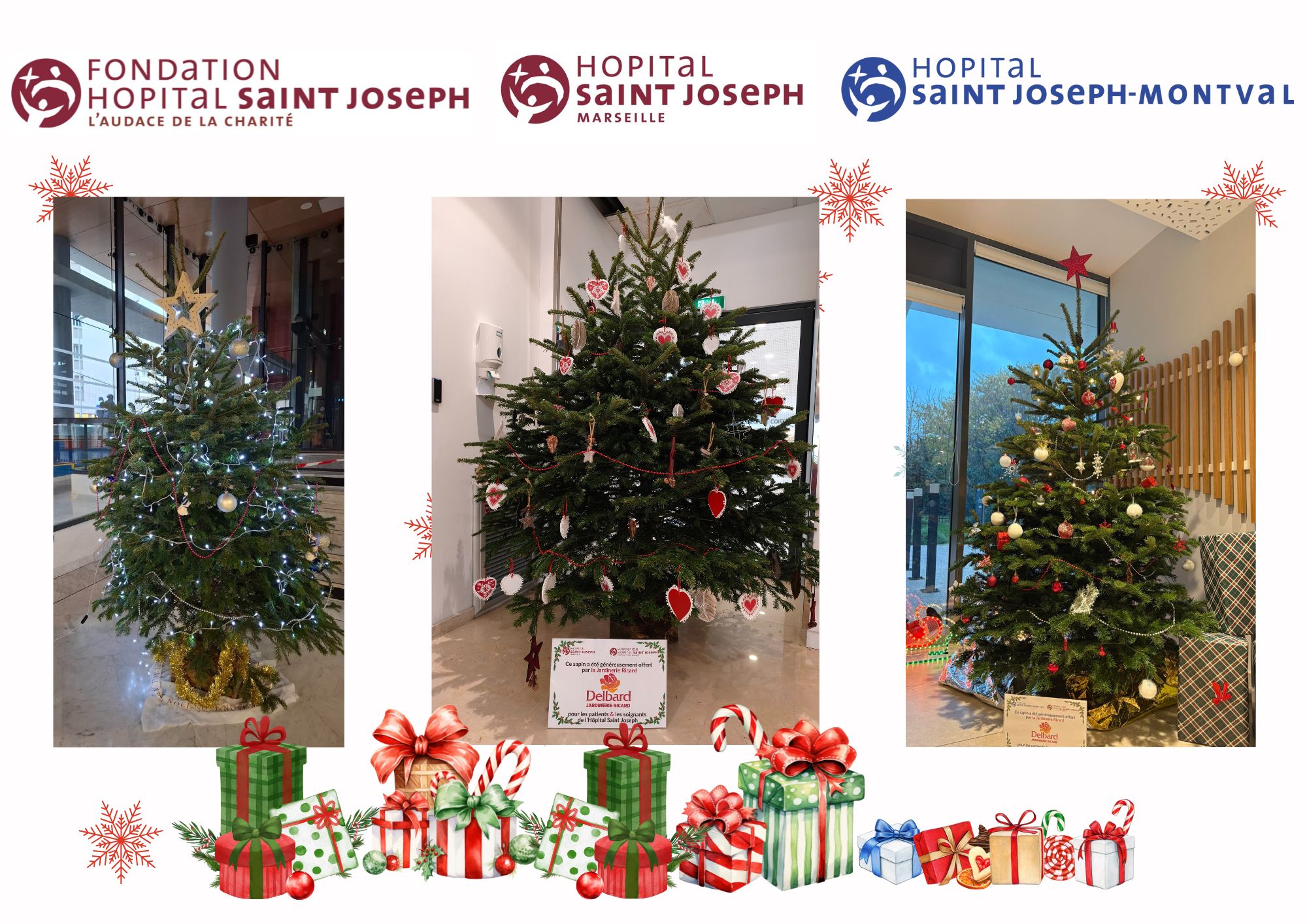 FONDATION : Des sapins pour embellir l’Hôpital Saint Joseph
