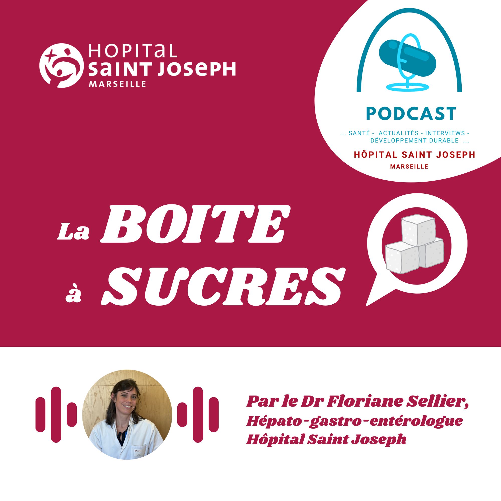 Episode 1 : Qu'est-ce que le sucre ? Par le Dr Floriane Sellier, Hépato-gastro-entérologue